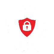 WiseK9 Logo